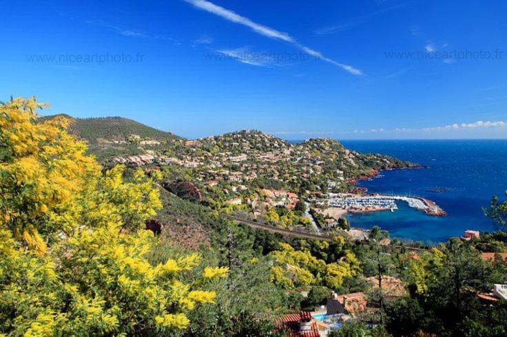 Studio 4P Vue Mer Calme Cap Esterel Saint-Raphaël Екстериор снимка